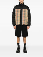 Reversible Down Jacket