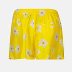 Short Marguerites