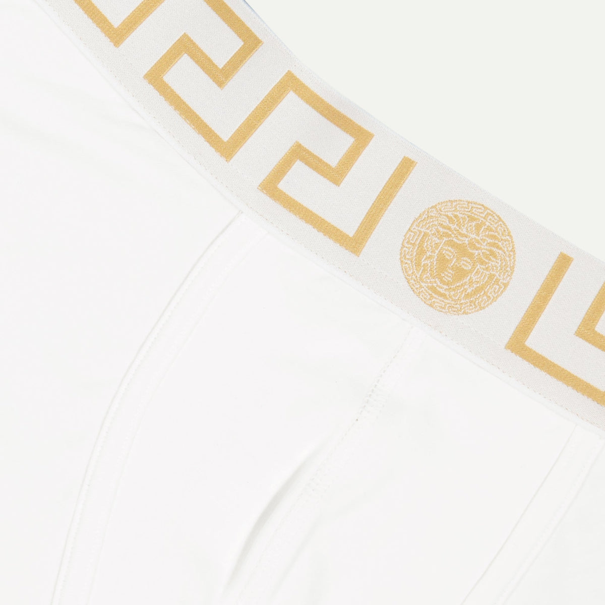 Medusa Greca Shorts
