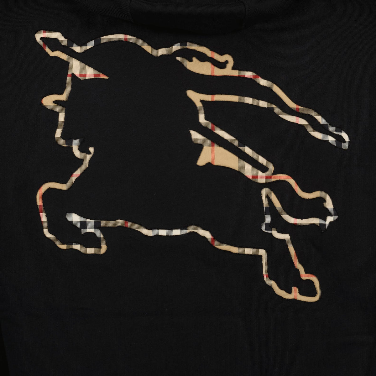 Cavalier Hoodie