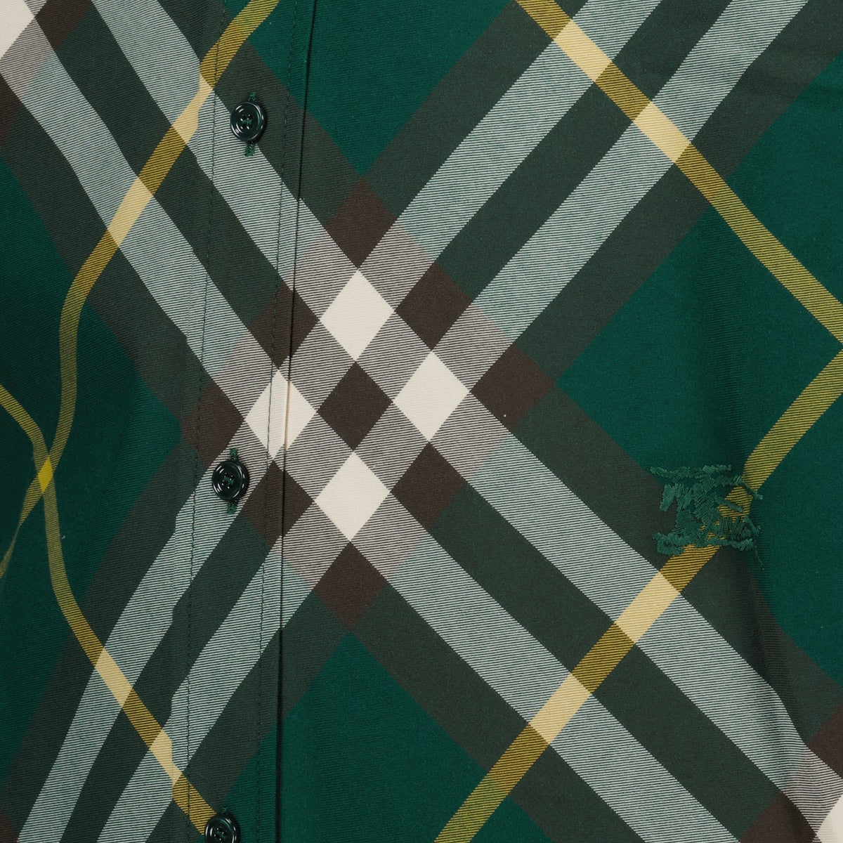 Plaid Shirt
