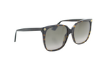 Tortoise Oversized Sunglasses