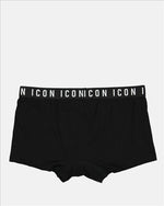 Boxer Icon