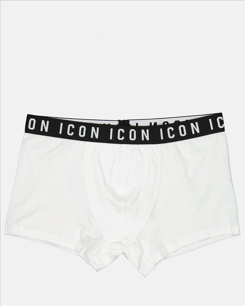 Boxer Icon