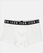 Boxer Icon