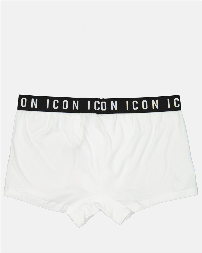 Boxer Icon
