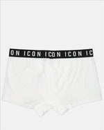 Boxer Icon
